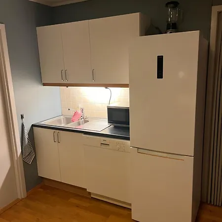 Fantastisk Utsikt! Gratis Parkering Tromsø